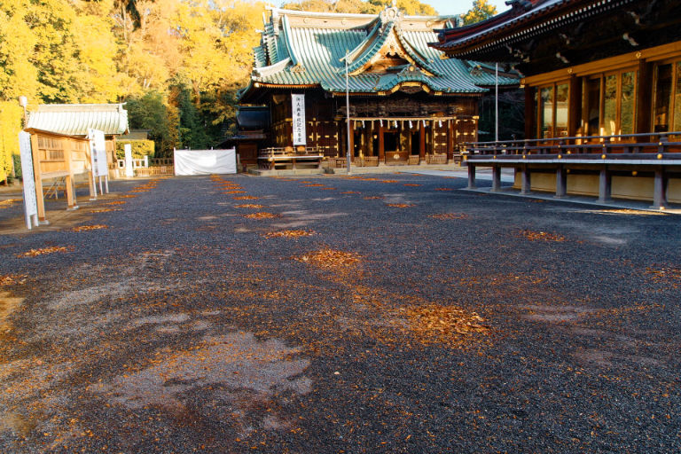 まだ朝．．かな？