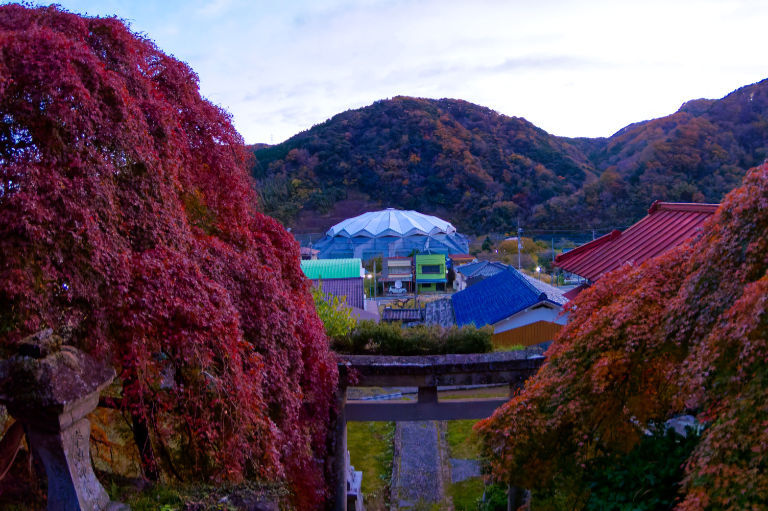 日の出前なので．．