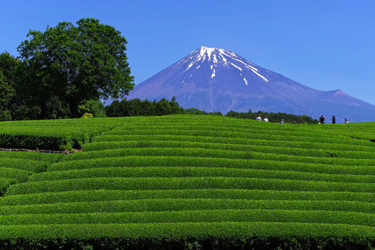 人が居るだけで違います。
