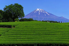 人が居るだけで違います。