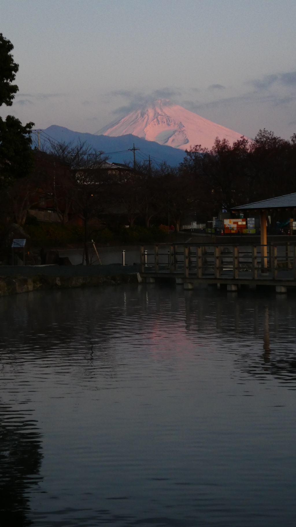 １月３日で今年初の（薄）紅