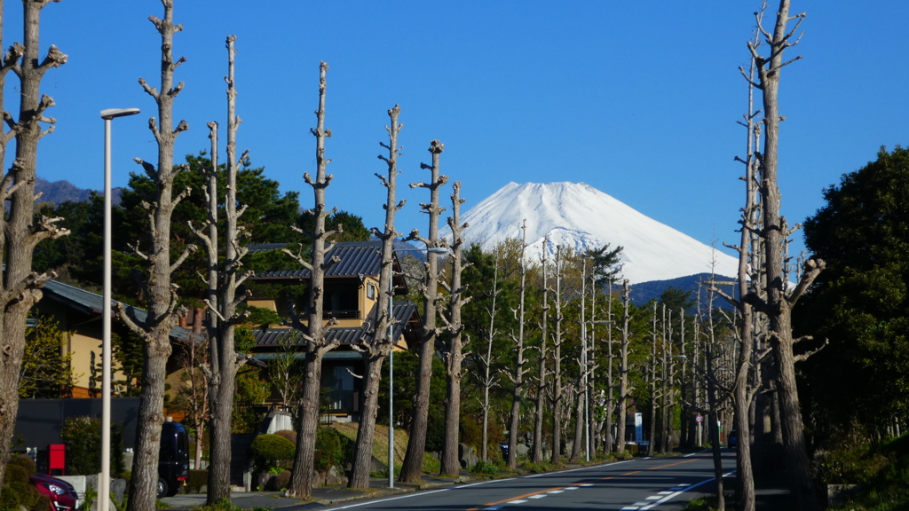 殺風景ですがなにか？