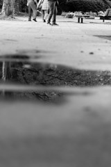 雨上がり