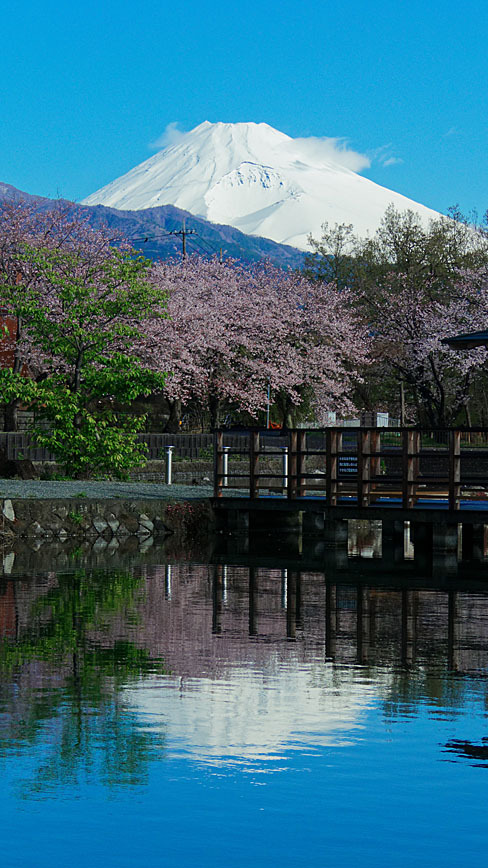 この辺が限界