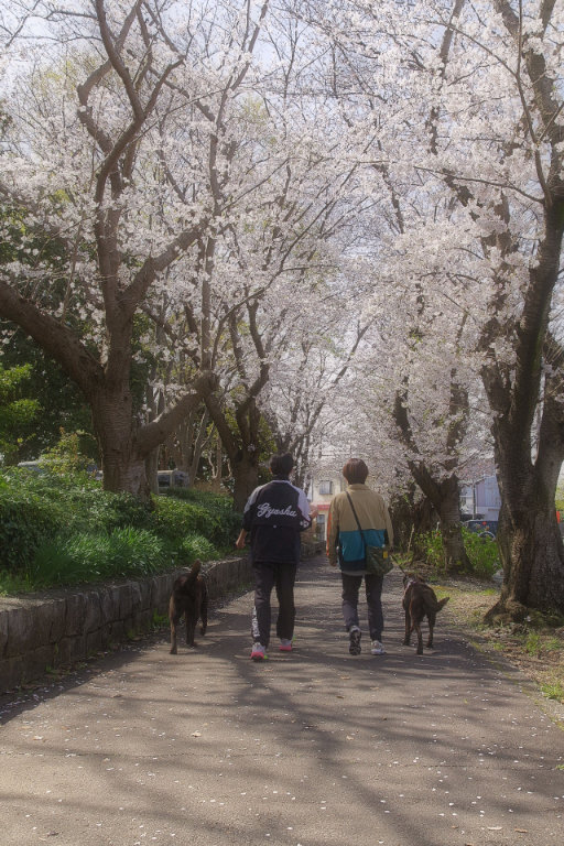 今日はポカポカ