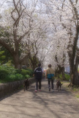 今日はポカポカ