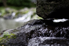 単なる親水公園