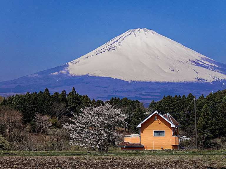 実は一部フェイクです