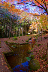 陽射しをください