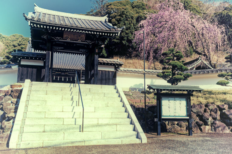 山号は櫻岡山