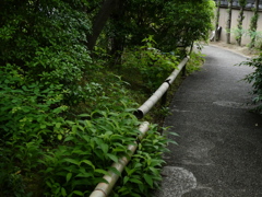 筥崎宮花庭園