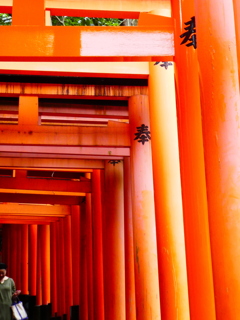 滋賀・京都旅行