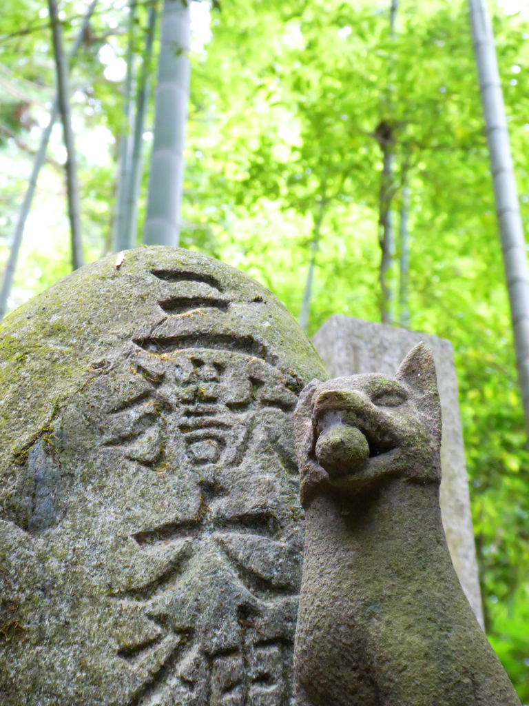 滋賀・京都旅行