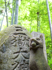 滋賀・京都旅行