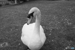 2018 England / Exeter