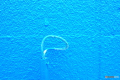 Part of ・・・・・