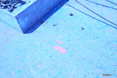 SAKURA（イメージ）