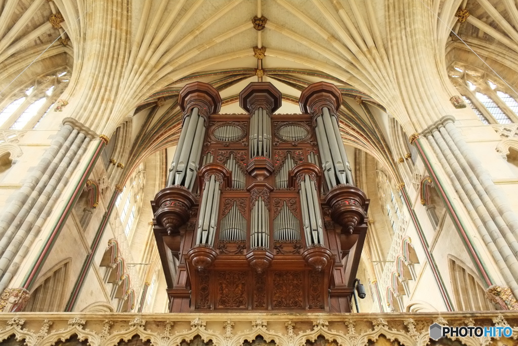 England /  Exeter Cathedral 