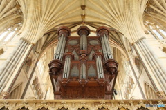 England /  Exeter Cathedral 