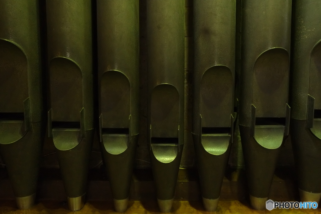 England /  Exeter Cathedral 