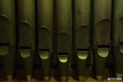 England /  Exeter Cathedral 