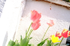 よくあるハナシ