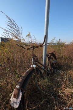 放置