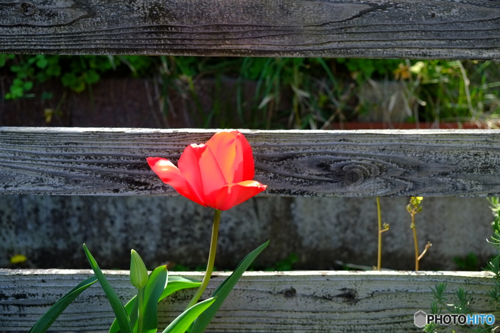 いい天気だね。