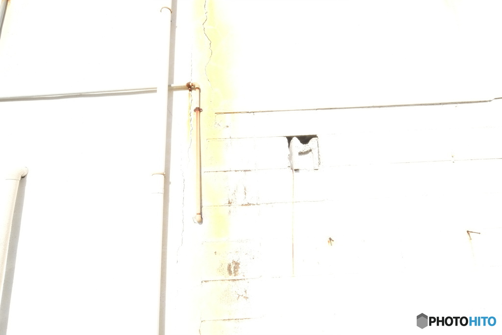 Yellow Line