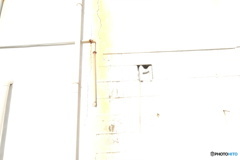 Yellow Line