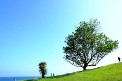 England / St. Michael's Mount