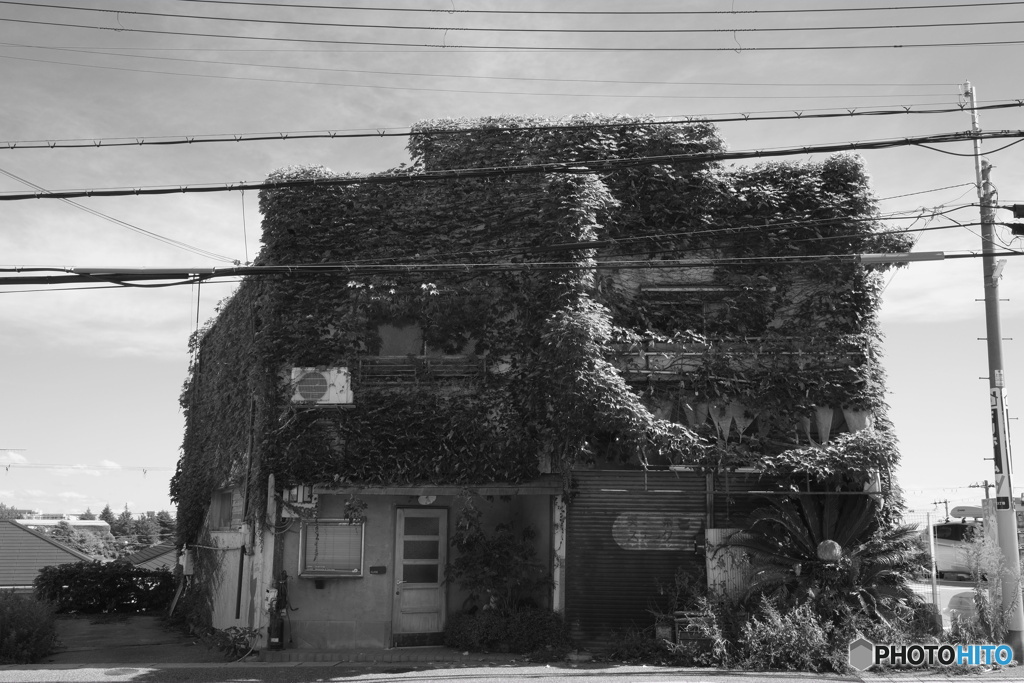 Shop