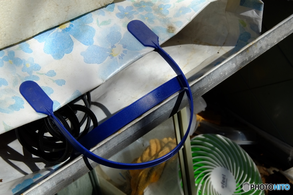 ｿﾗｲﾛ　ﾅ　ｷﾓﾁ