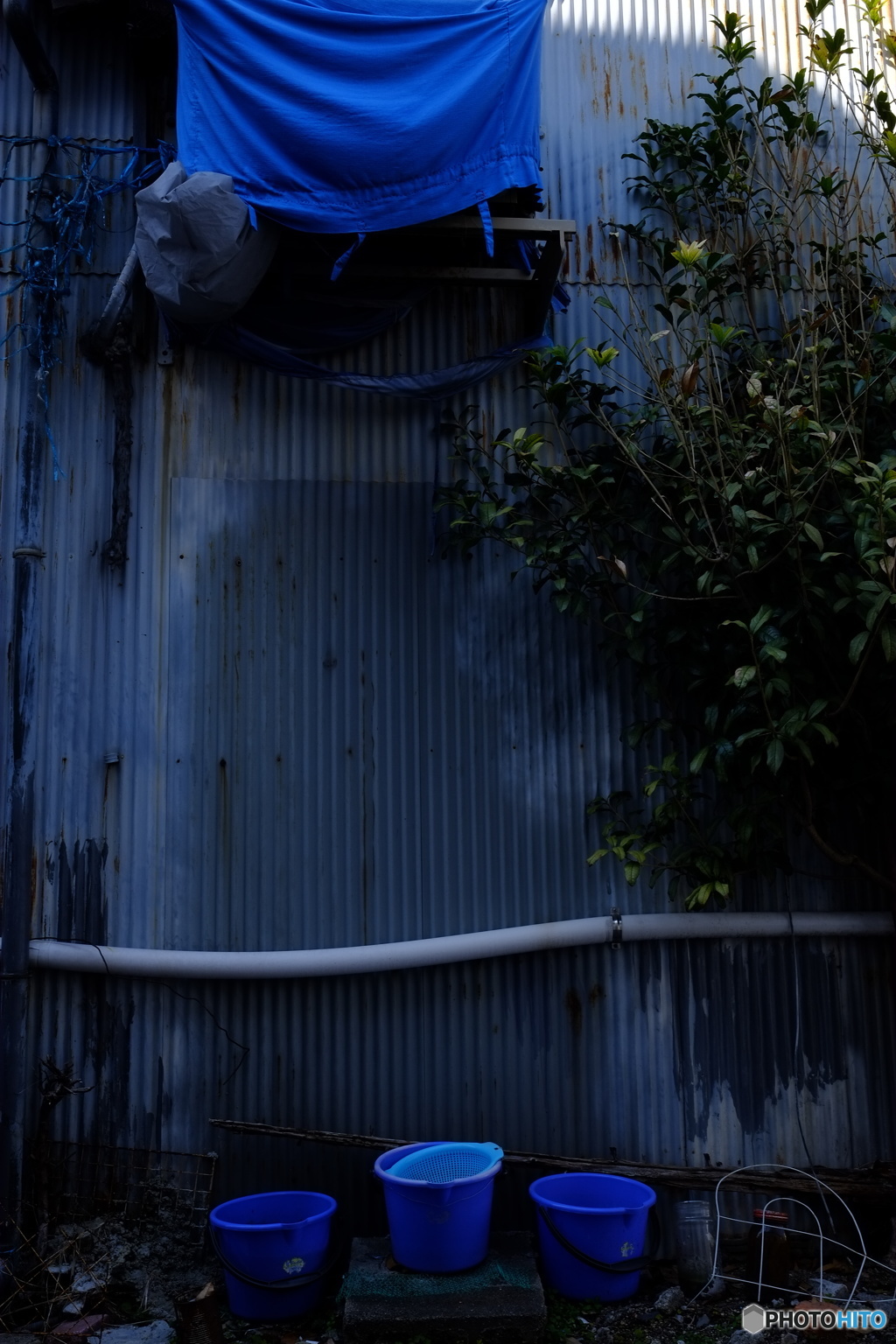 Blue