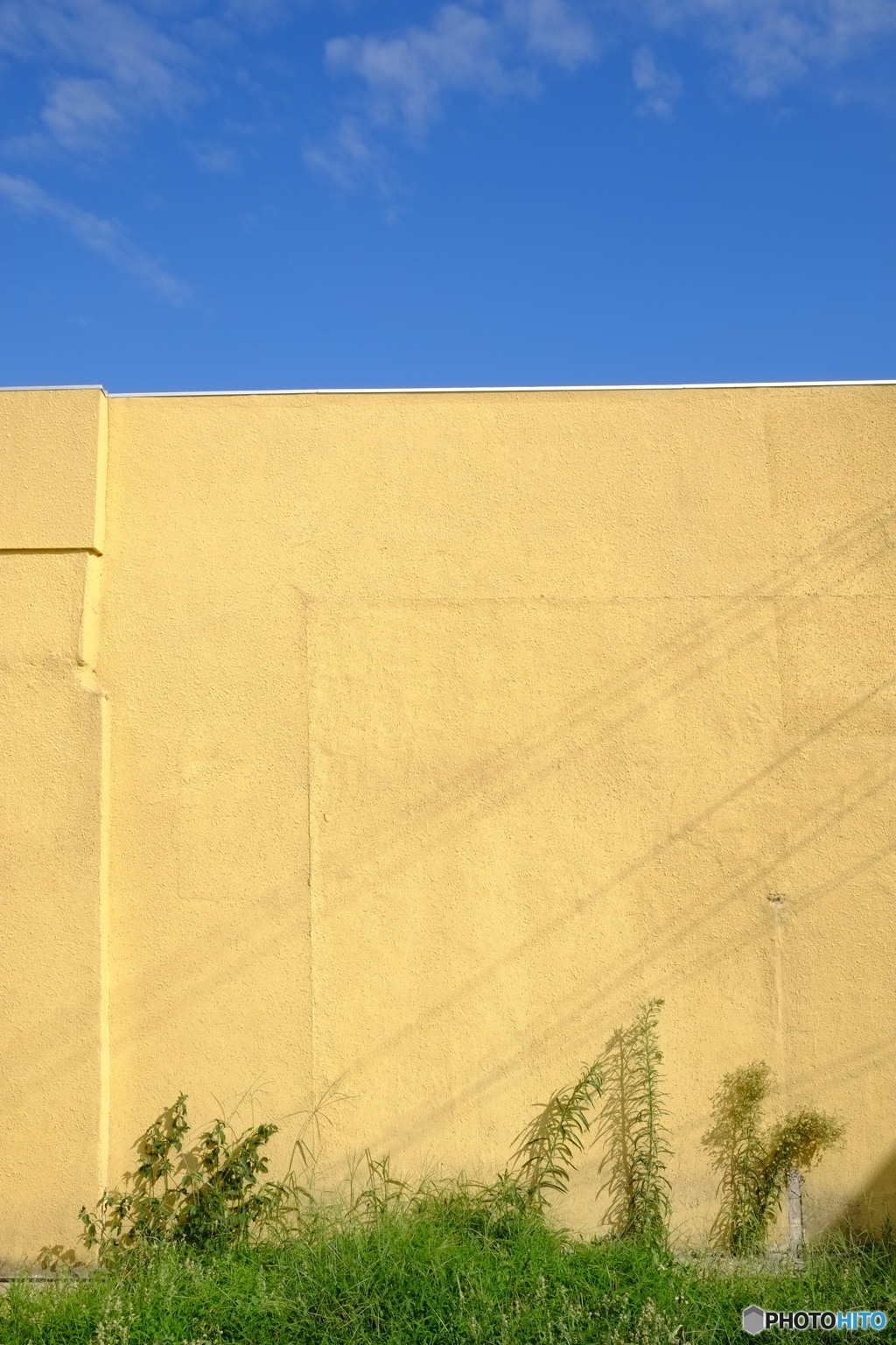 Wall