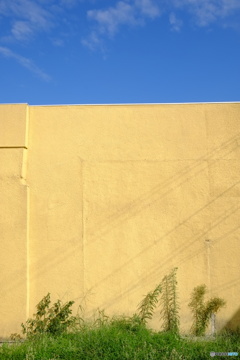 Wall