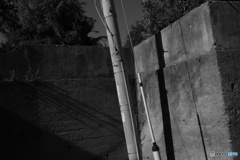 On the street corner