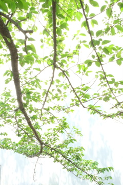 DSCF0205