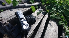 FUJIFILM  X-E1 / XF23mm f1.4R