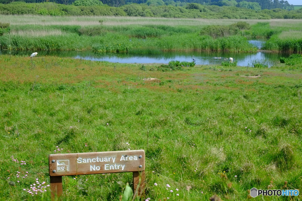 2018 England / Marazion