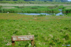 2018 England / Marazion