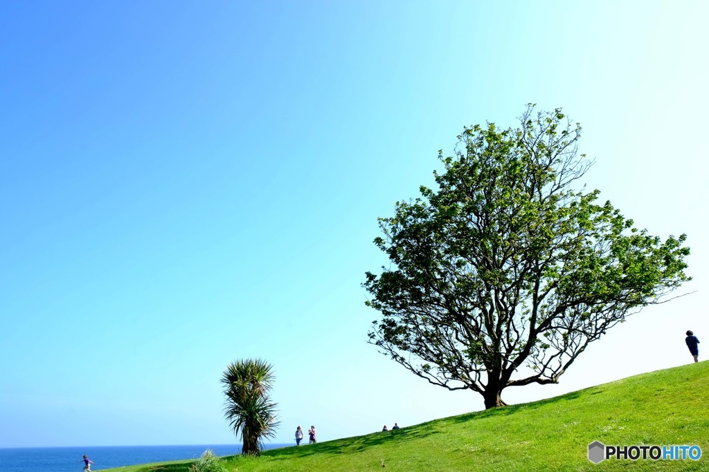 England / St.Michael's Mount