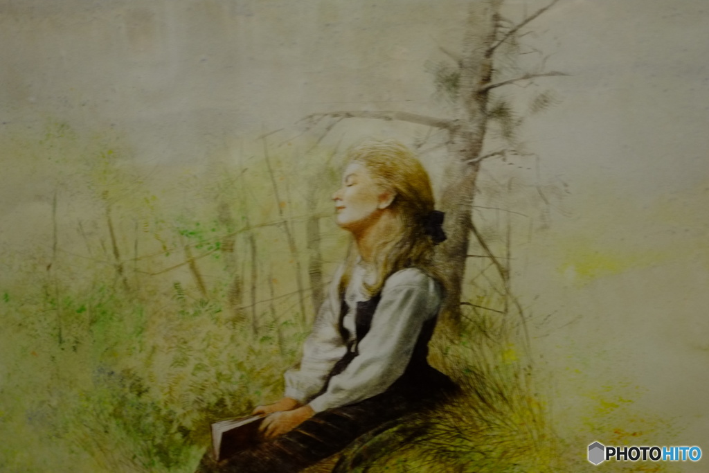 The Magic of Alice in Wonderland