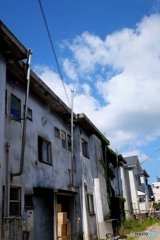 アパートメント