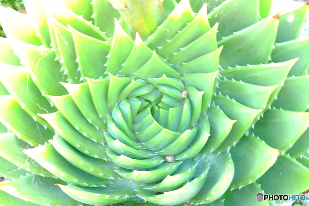 England / St.Michael's Mount