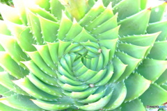 England / St.Michael's Mount