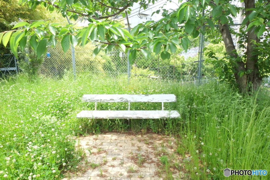 誘惑