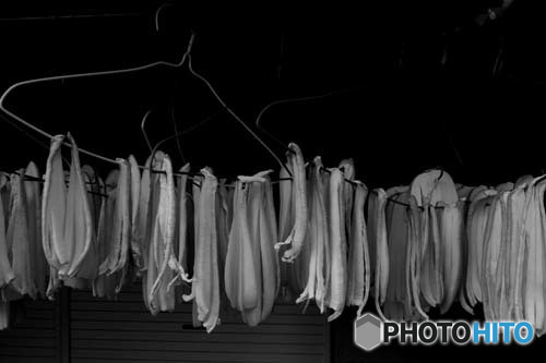 DSCF0069