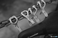 いい天気だね～。