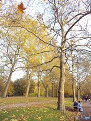 2012 England / Hyde Park